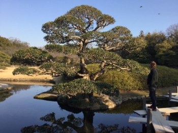 park2